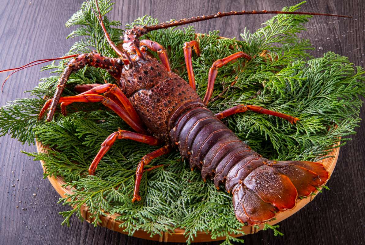 伊勢海老の写真