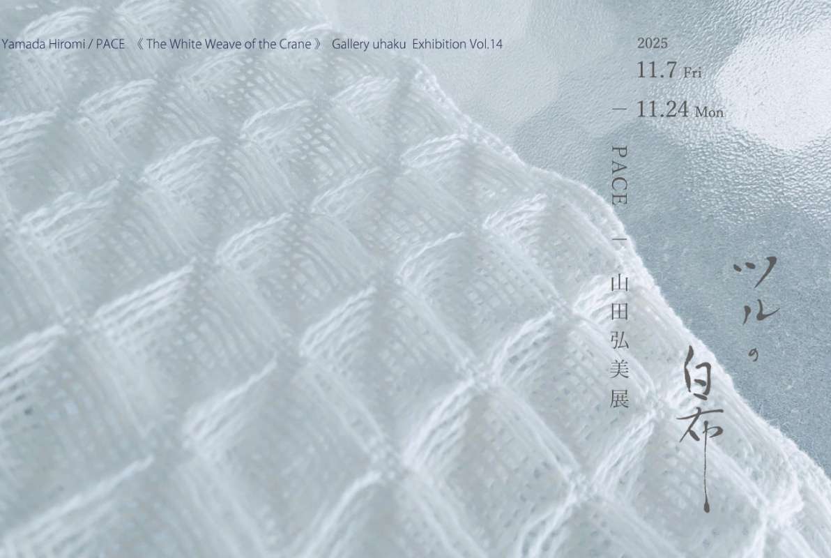 「PACE山田弘美 展 －ツルの白布－」イメージビジュアル