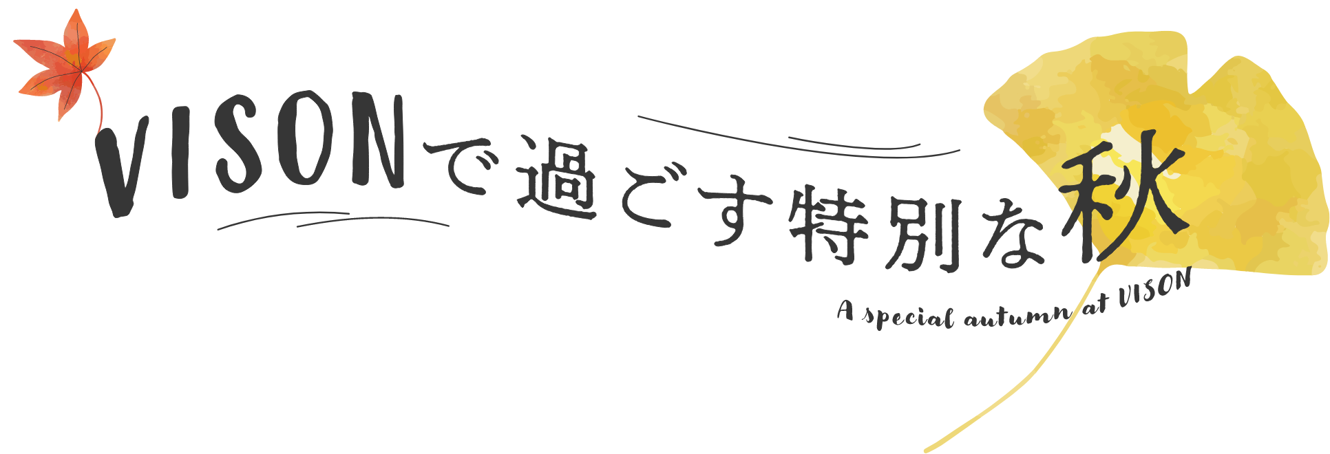 VISONで過ごす特別な秋
