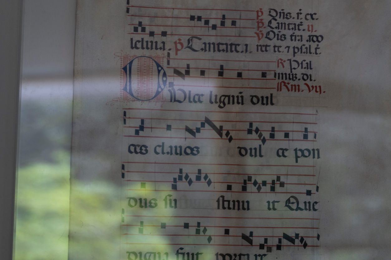 Coordinated Interior Decor