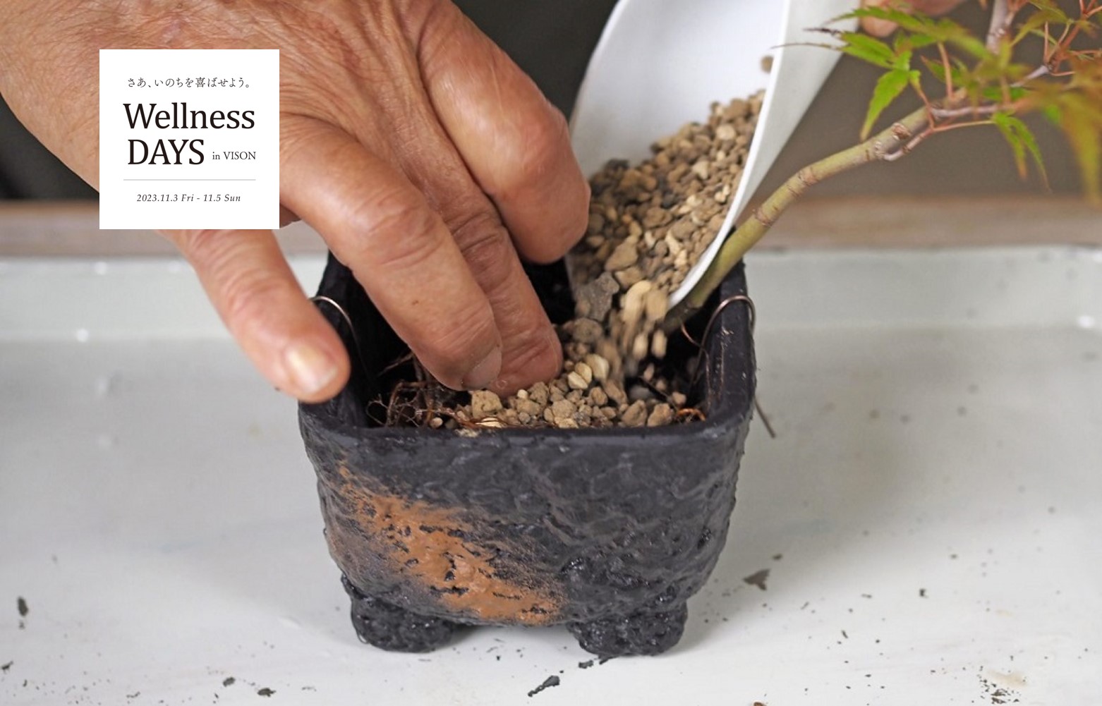 実生栽でミニ盆栽・苔玉づくり | VISON Beautiful Village in TAKI