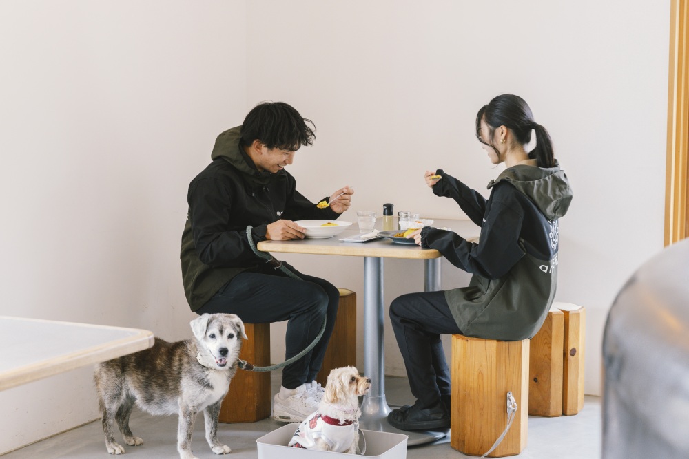 raf_dog.jpg